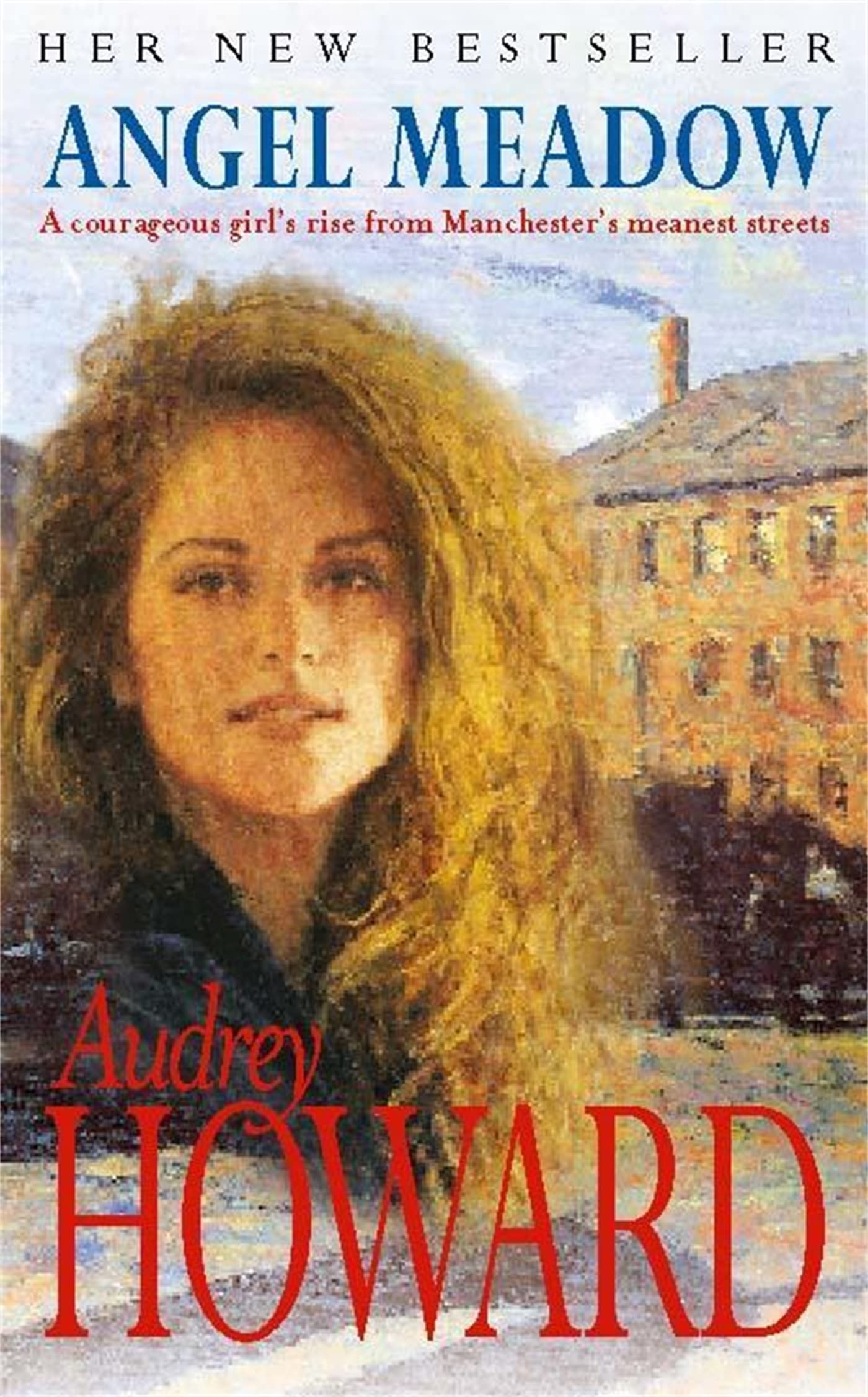 Angel Meadow Contemporary literature Books