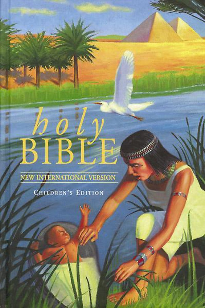 NIV Popular Children's Bible Non-fiction