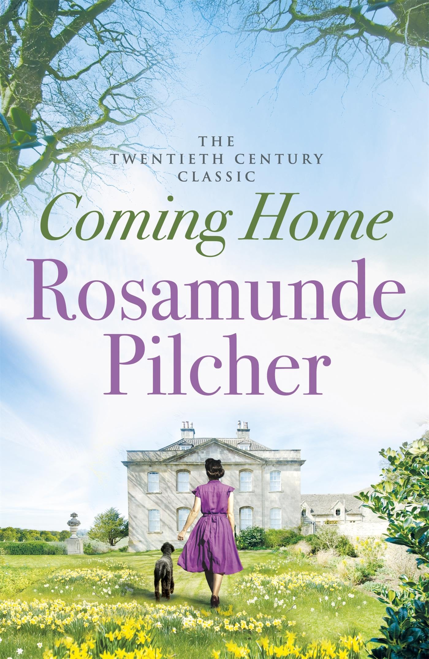 Coming Home Contemporary literature Books