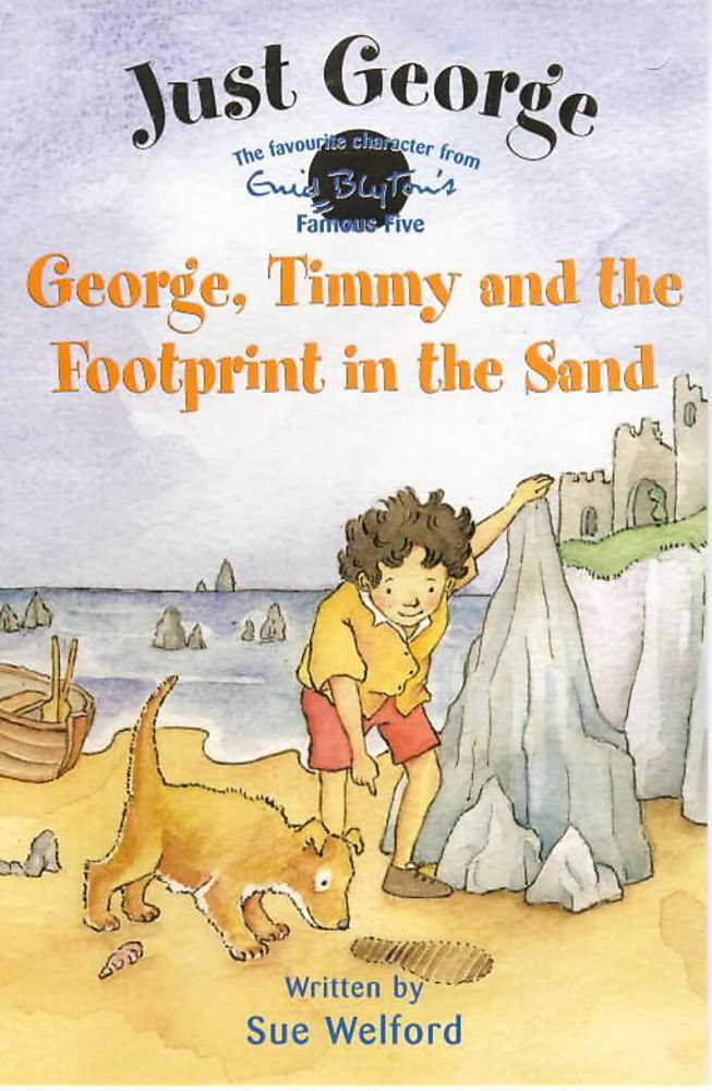3 George, Timmy and The Footprint In The Sand book