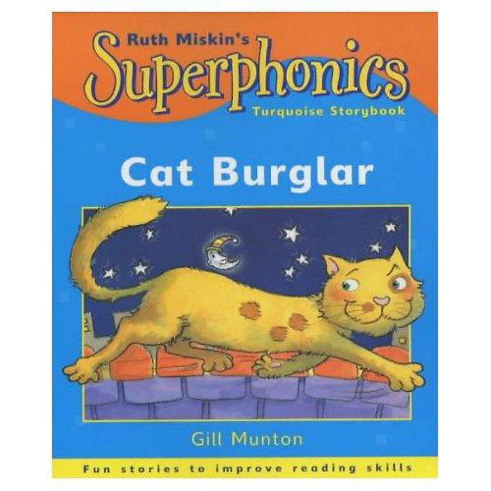 Turquoise Storybook: Cat Burglar book