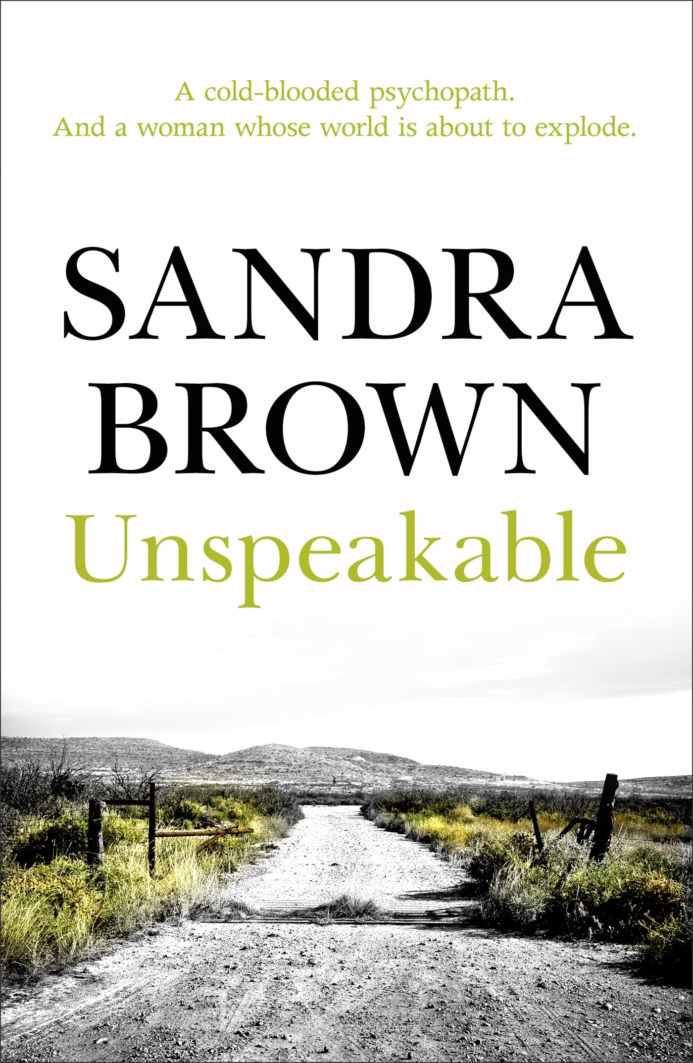 Unspeakable: The gripping thriller from #1 New York Times bestseller Action & Adventure