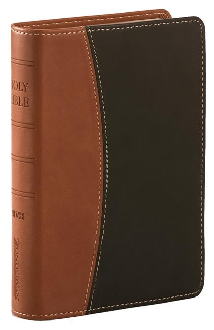 New International Version (Bible) Religion & Esotericism