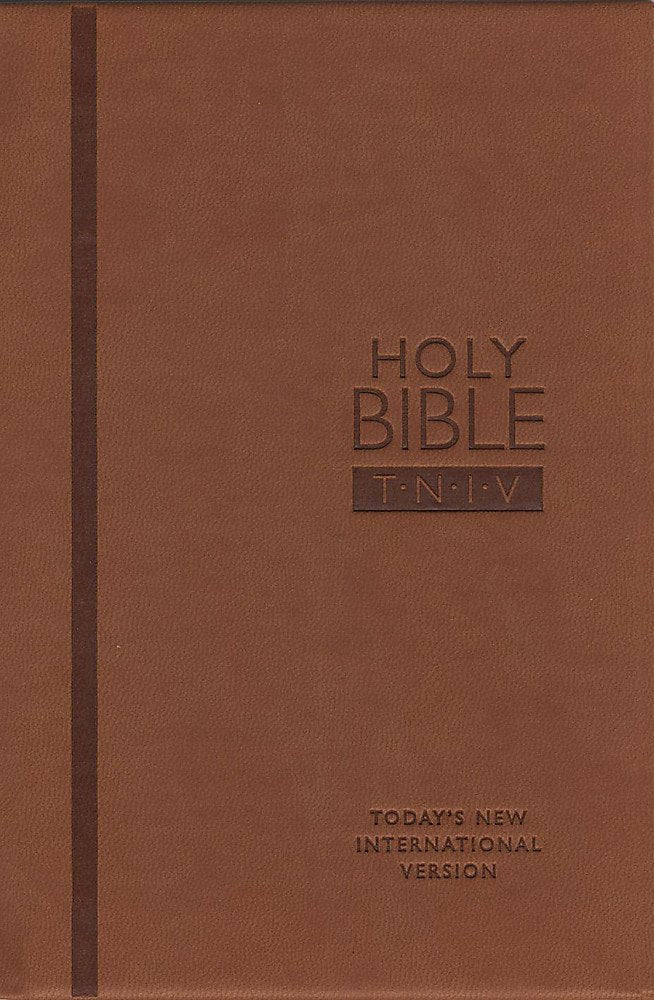 TNIV Personal Chestnut Soft-Tone Religion & Esotericism