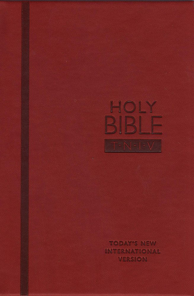 TNIV Personal Berry Soft-Tone Religion & Esotericism