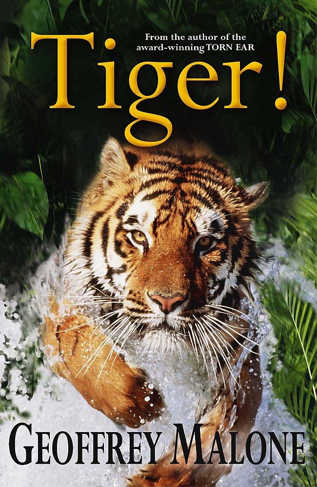 Tiger (Stories from the Wild, Band 8) Non-fiction
