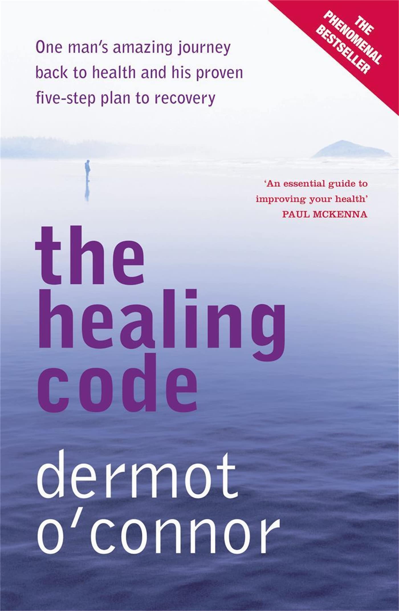 The Healing Code: One man's amazing journey back to health and his proven five-step plan to recovery Medicine