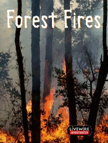 Livewire Investigates: Forest Fire (Livewire Investigates S.) Non-fiction