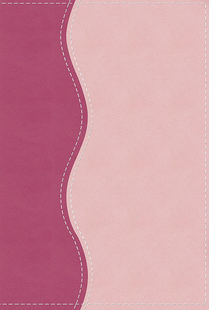 TNIV Personal Pink Soft-Tone Religion & Esotericism