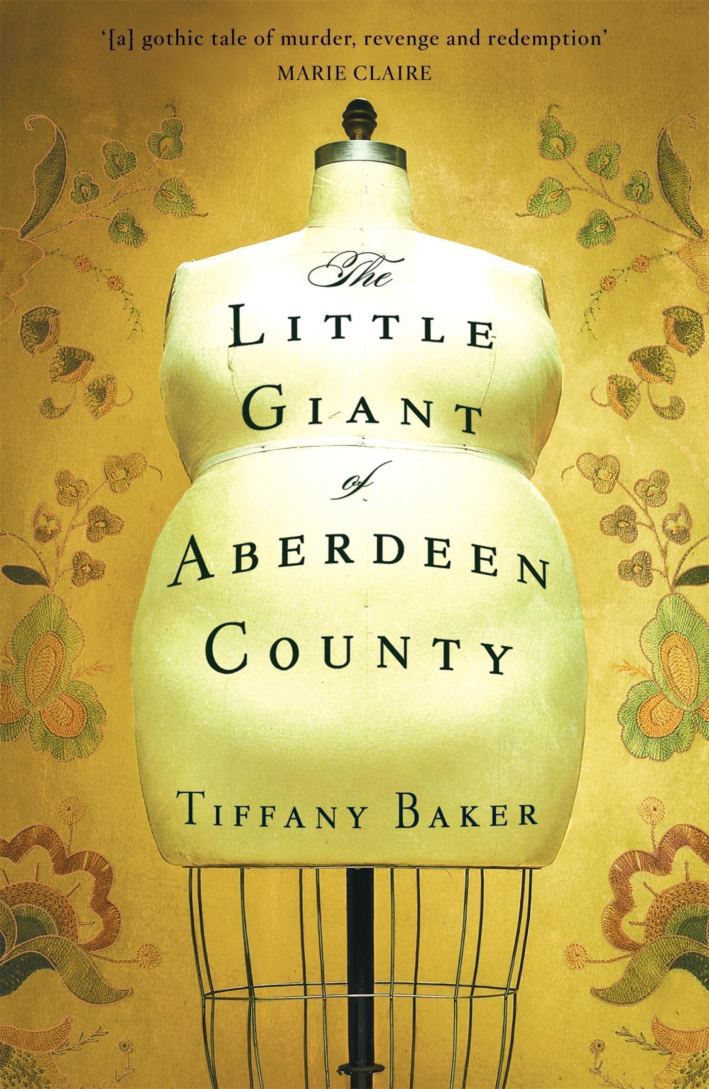 The Little Giant of Aberdeen County Contemporary literature