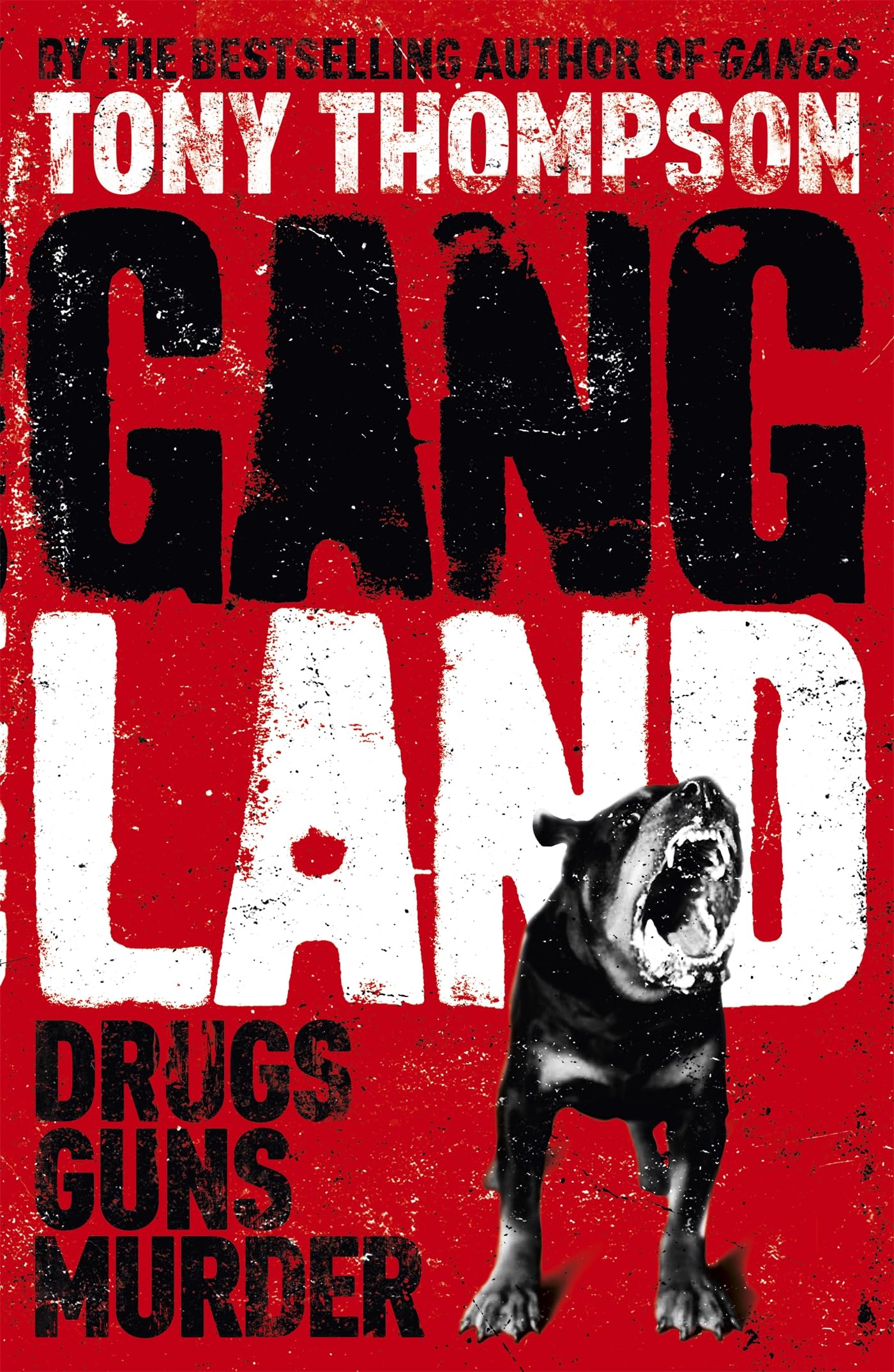 Product Image: Gang Land