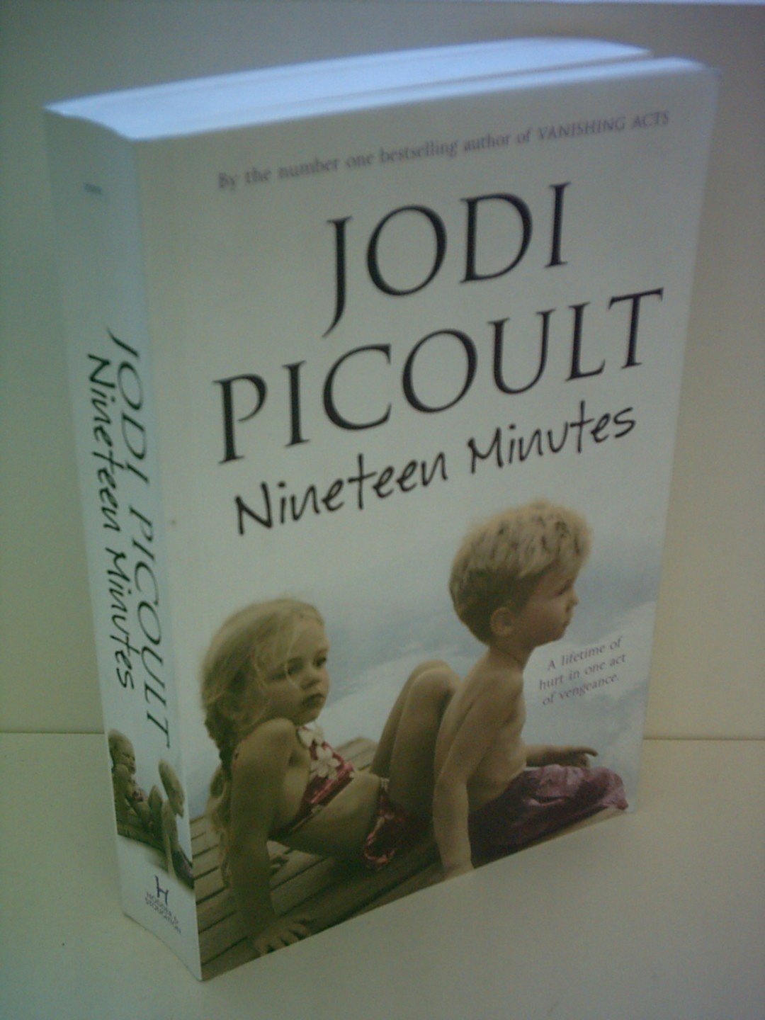 Nineteen Minutes Contemporary literature Books