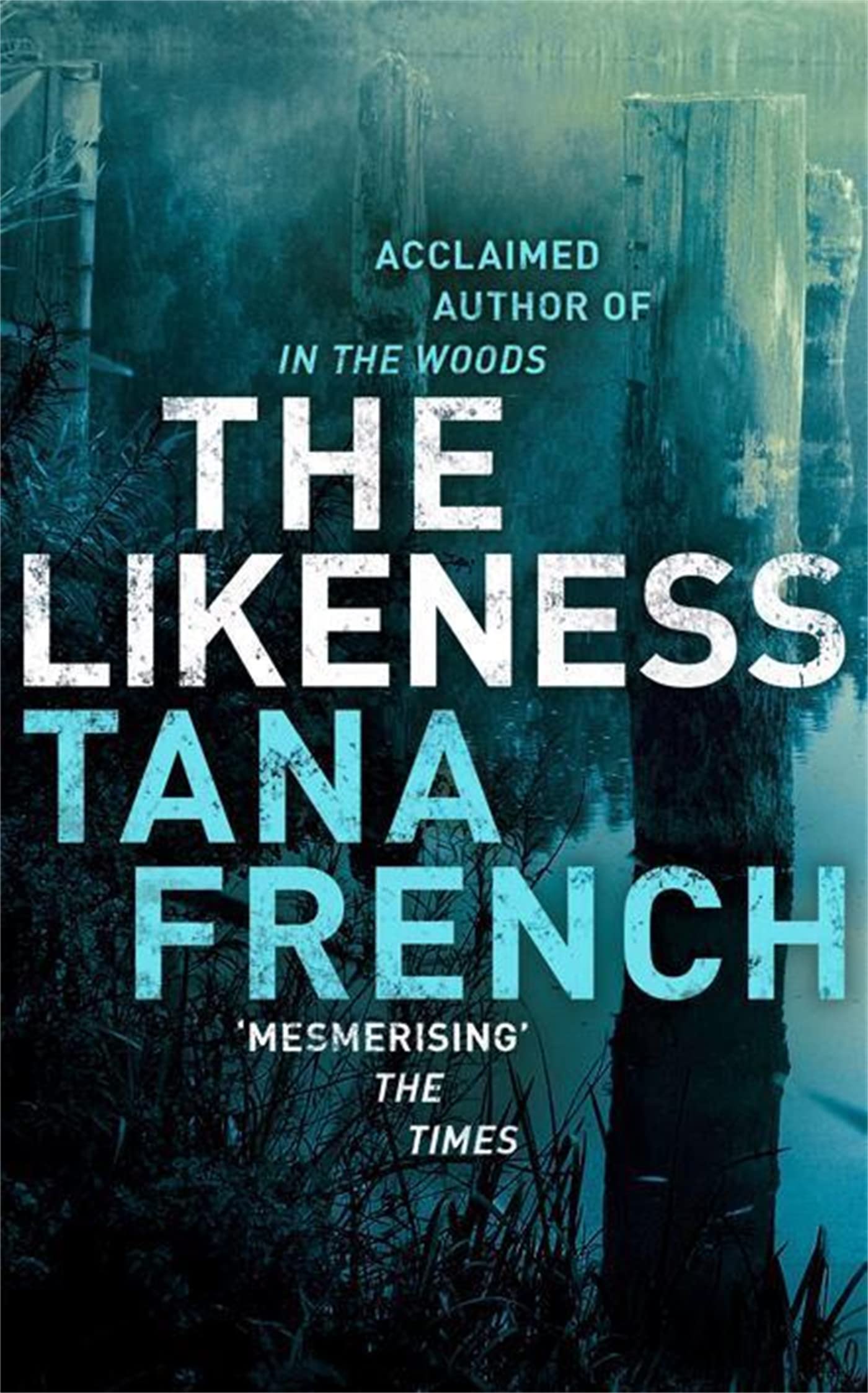 The Likeness: The inspiration for BBC/RTE drama series DUBLIN MURDERS Contemporary literature