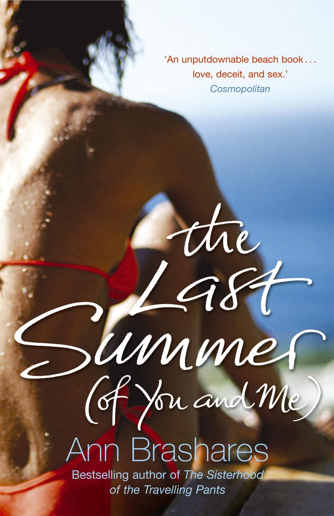 The Last Summer (of You & Me) Contemporary literature