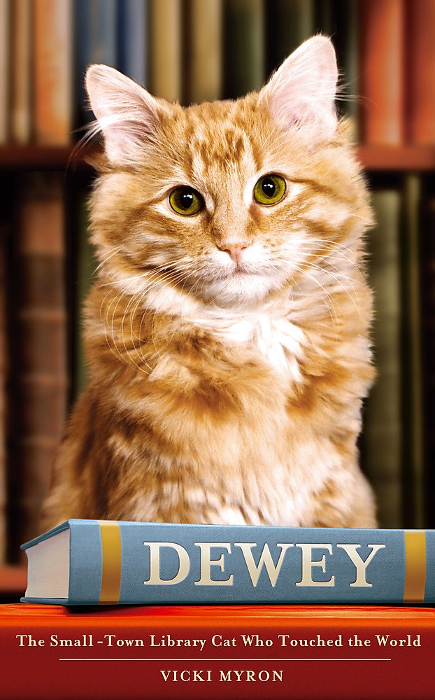 Dewey: The Small-Town Library Cat Who Touched the World Science