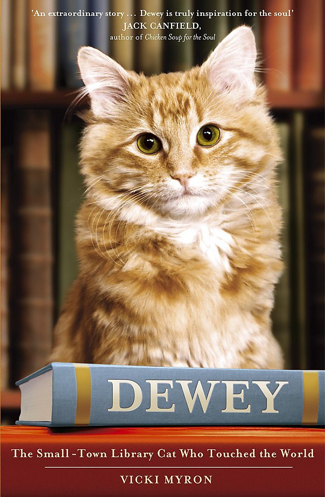 Dewey: A small town, a library and the world's most beloved cat Memories