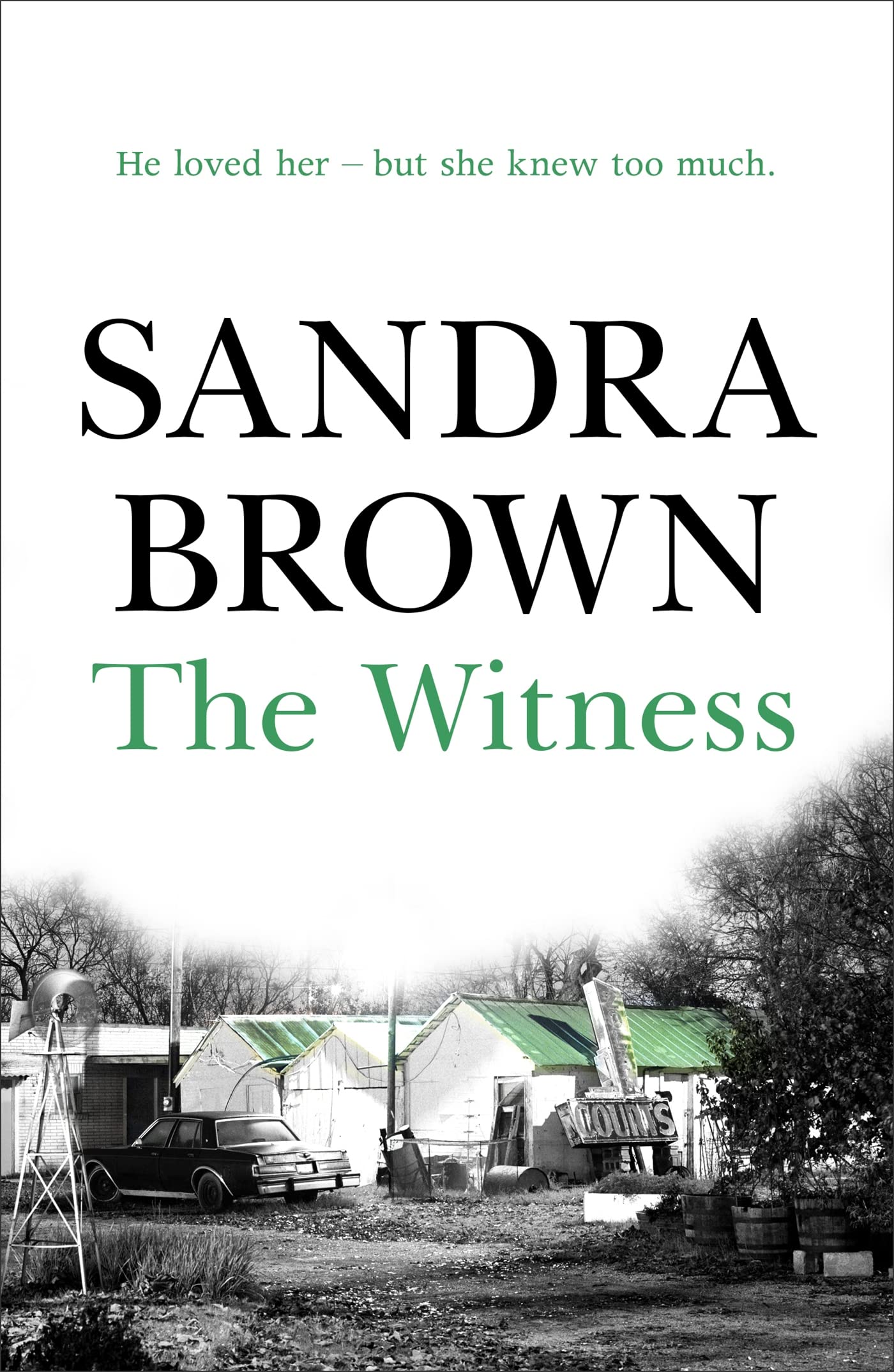 Product Image: The Witness