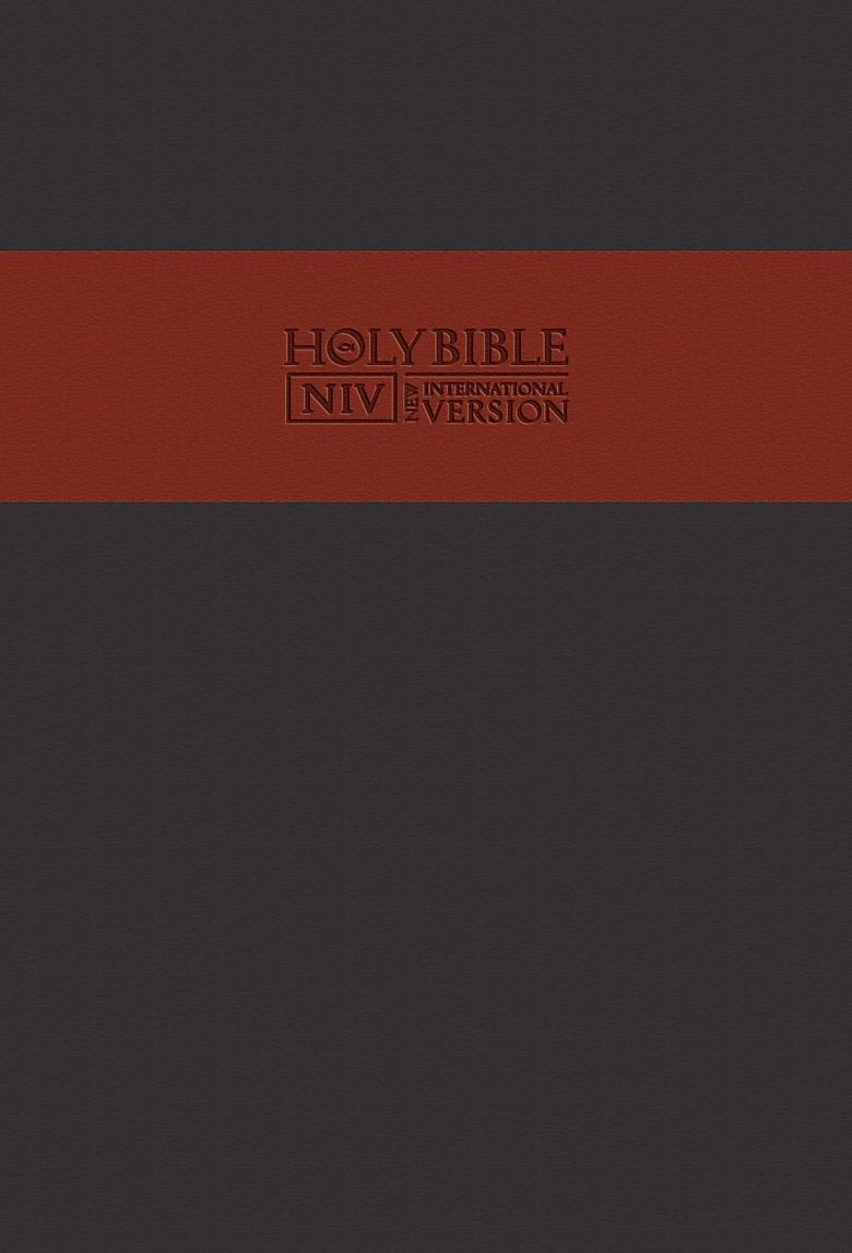 NIV Traveller's Soft-Tone Bible Religion & Esotericism