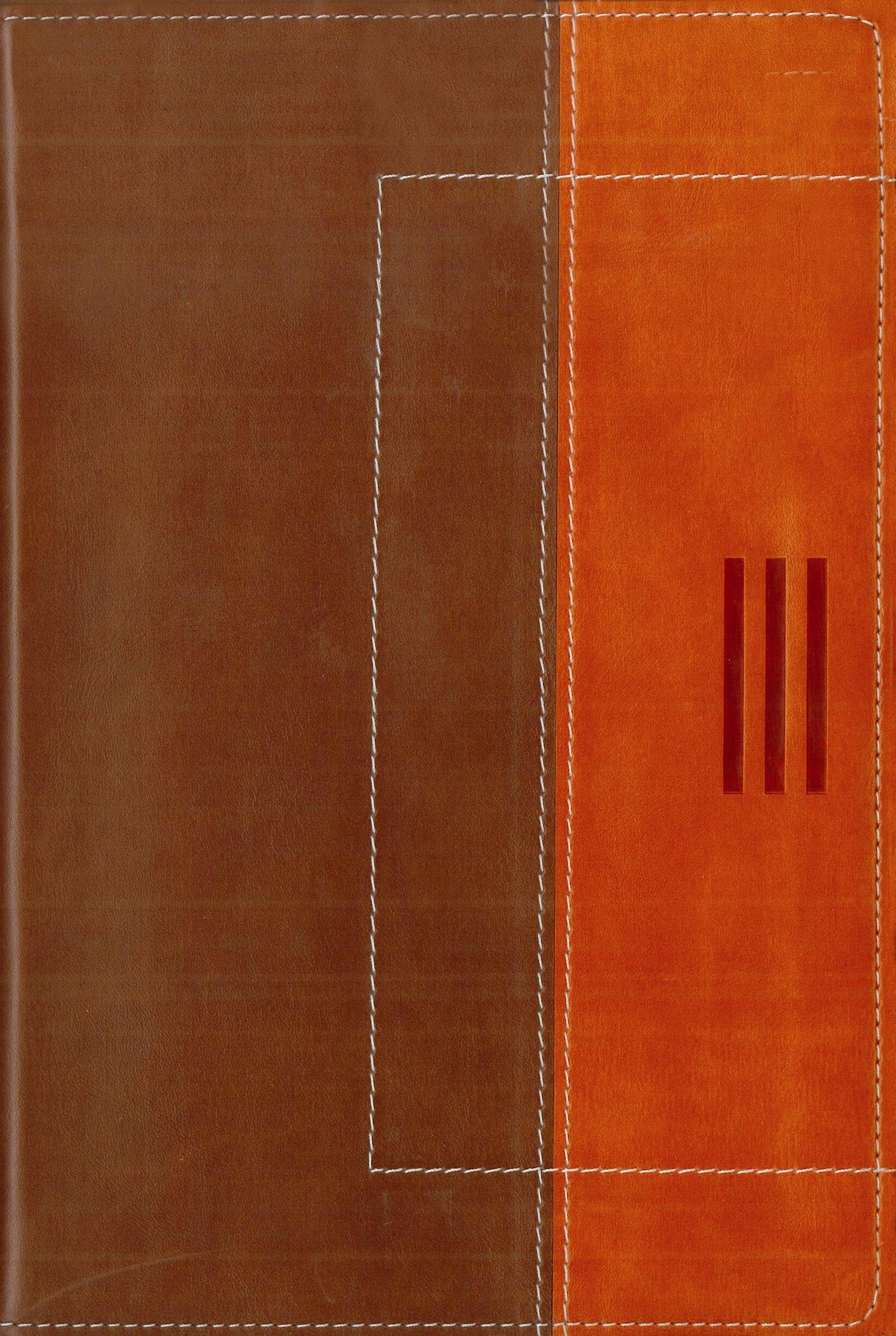 NIV/ The Message Parallel Bible Religion & Esotericism