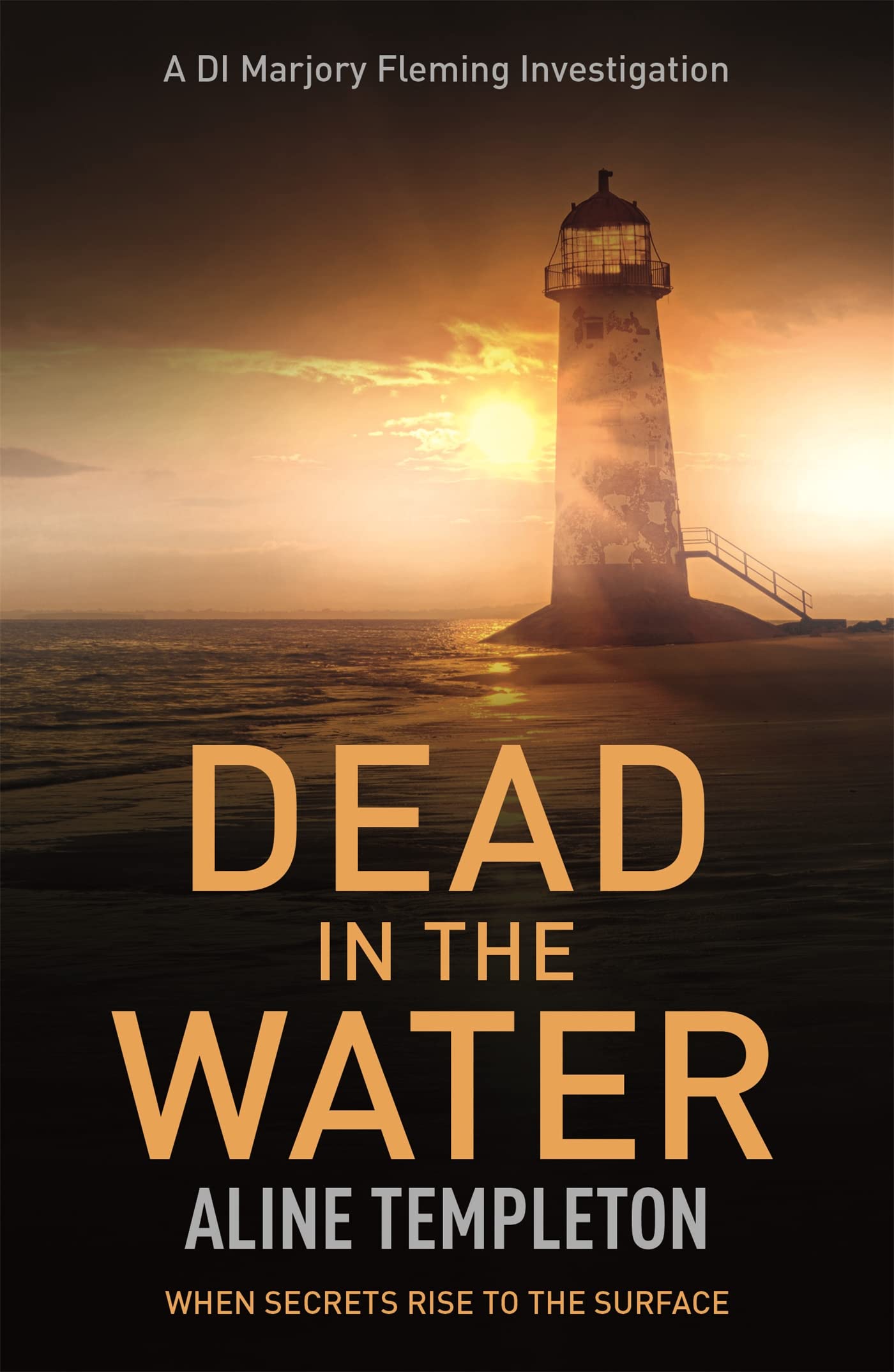 Dead in the Water: DI Marjory Fleming Book 5 Contemporary literature