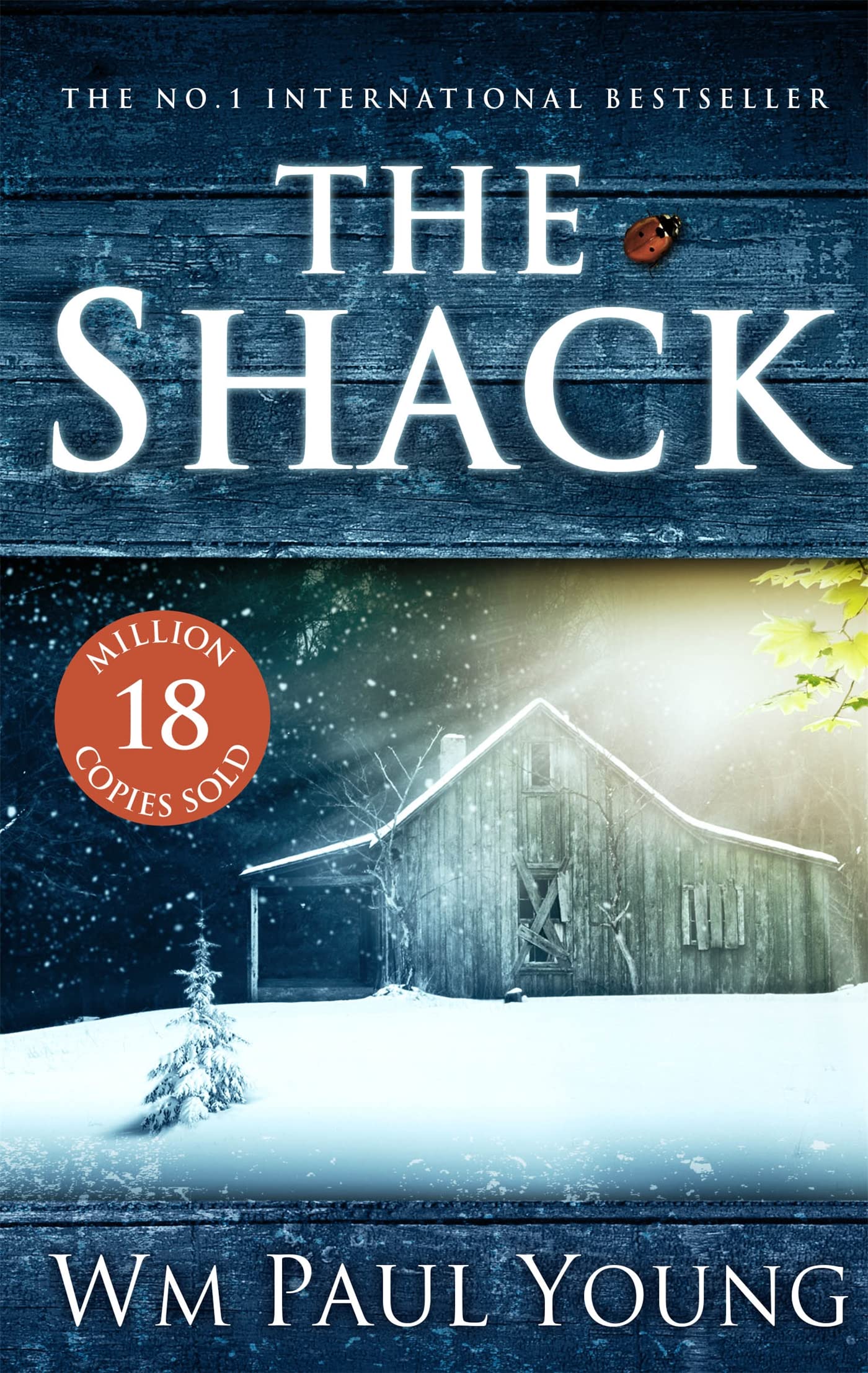 The Shack Action & Adventure