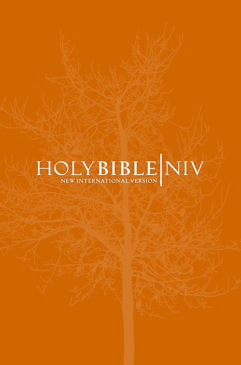 NIV Popular Orange Paperback Religion & Esotericism