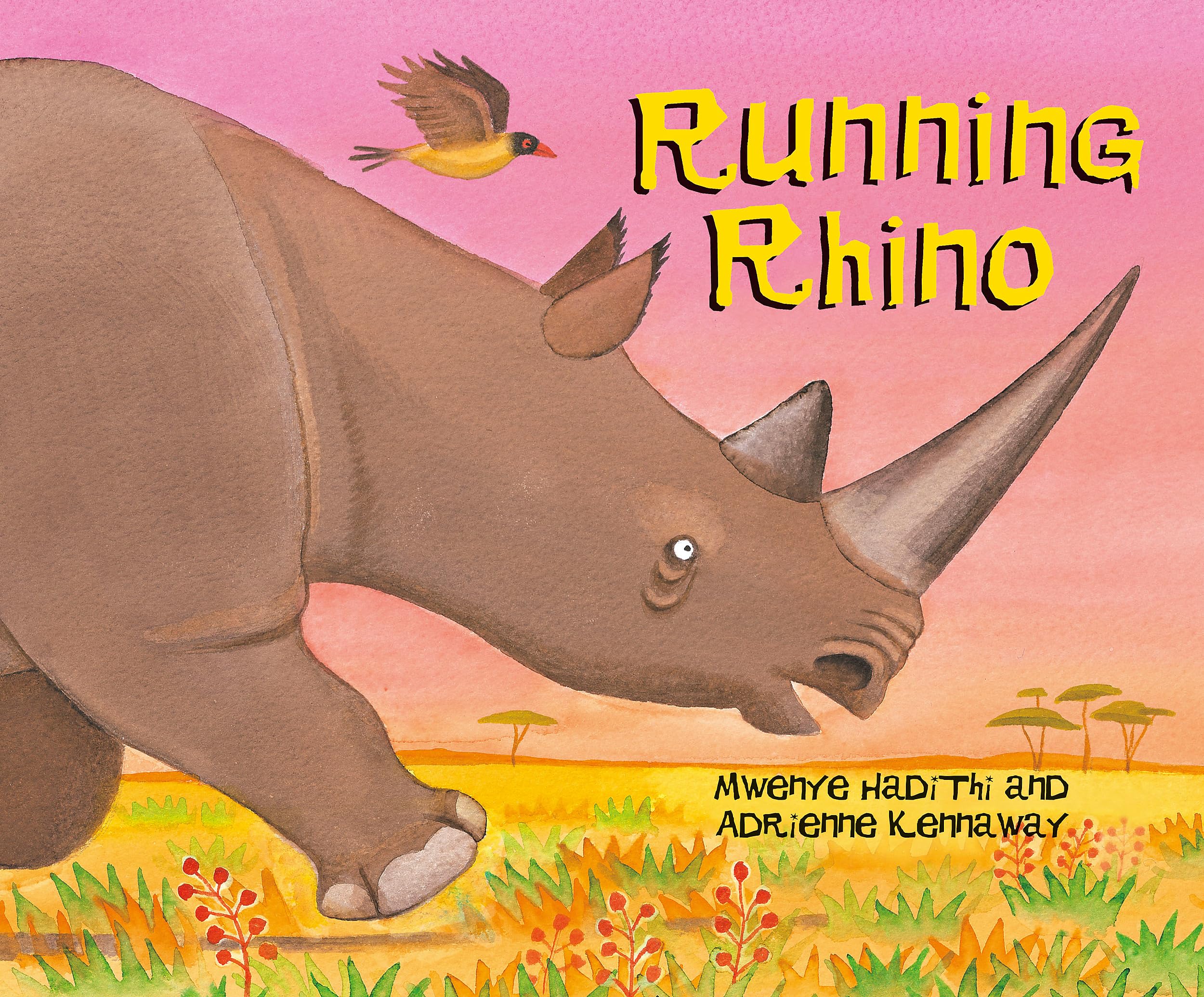 Running Rhino (African Animal Tales) Non-fiction