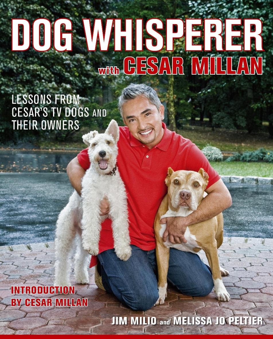 Dog Whisperer with Cesar Millan: Lessons from Cesar's TV Dogs and Their Owners Pets