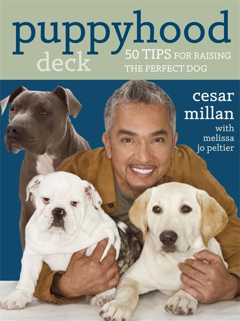 Puppyhood Deck: 50 tips for raising the perfect dog book