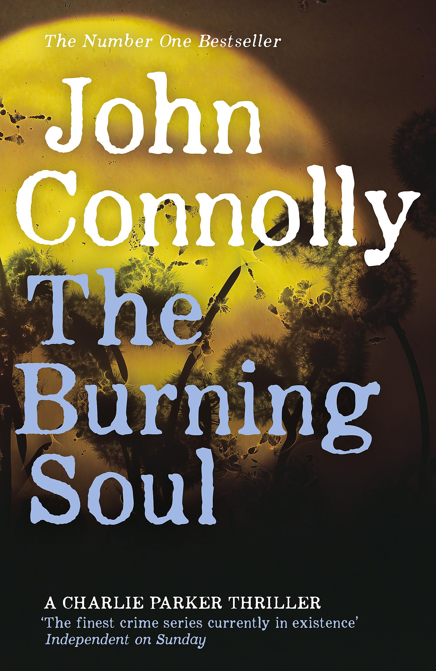 Product Image: The Burning Soul