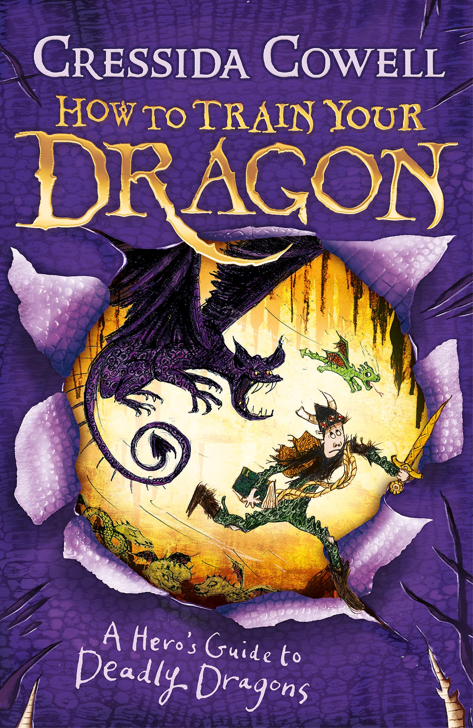 How to Train Your Dragon: A Hero's Guide to Deadly Dragons Novels & Short Stories