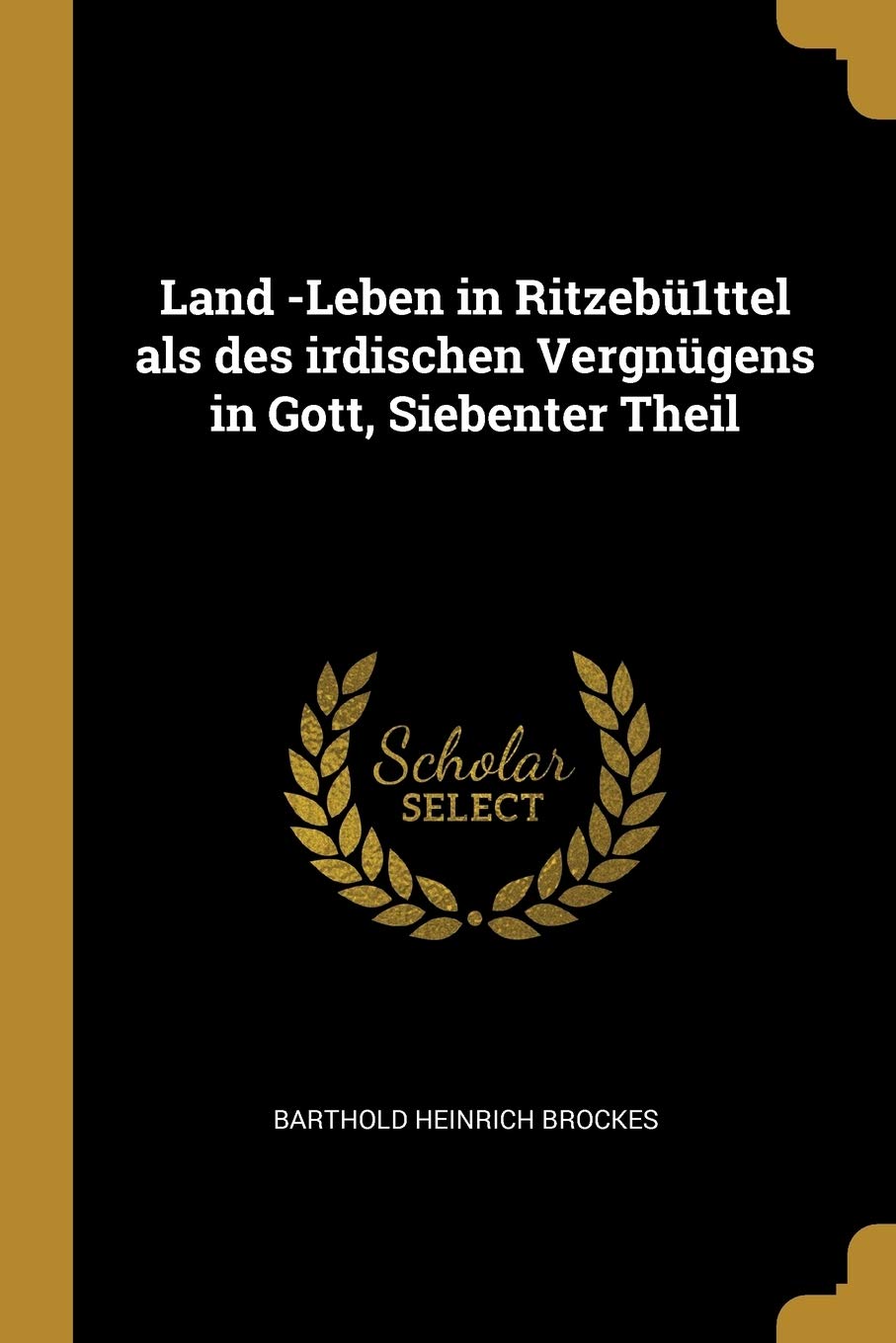 Land -Leben in Ritzebü1ttel als des irdischen Vergnügens in Gott, Siebenter Theil Politics & History