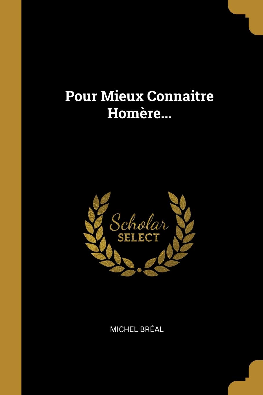 Pour Mieux Connaitre Homre... Politics & History