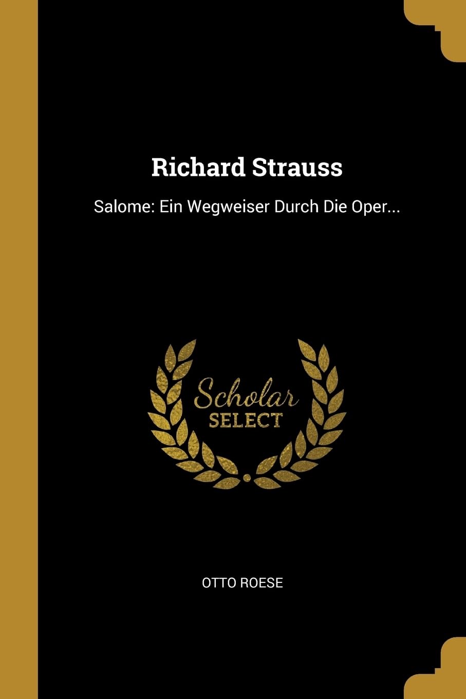 Richard Strauss: Salome: Ein Wegweiser Durch Die Oper... Politics & History