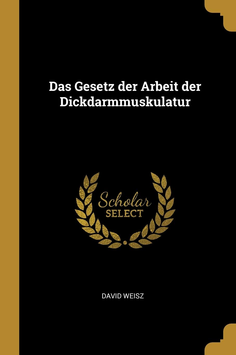 Das Gesetz der Arbeit der Dickdarmmuskulatur Politics & History