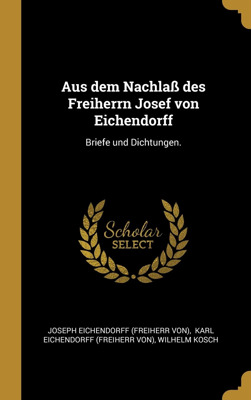 Aus dem Nachlaß des Freiherrn Josef von Eichendorff: Briefe und Dichtungen. Politics & History