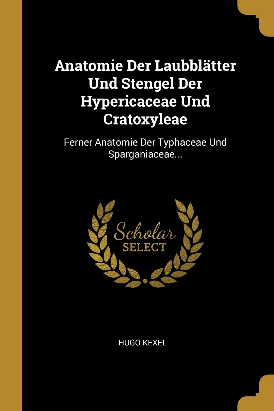 Anatomie Der Laubbltter Und Stengel Der Hypericaceae Und Cratoxyleae: Ferner Anatomie Der Typhaceae Und Sparganiaceae... Politics & History