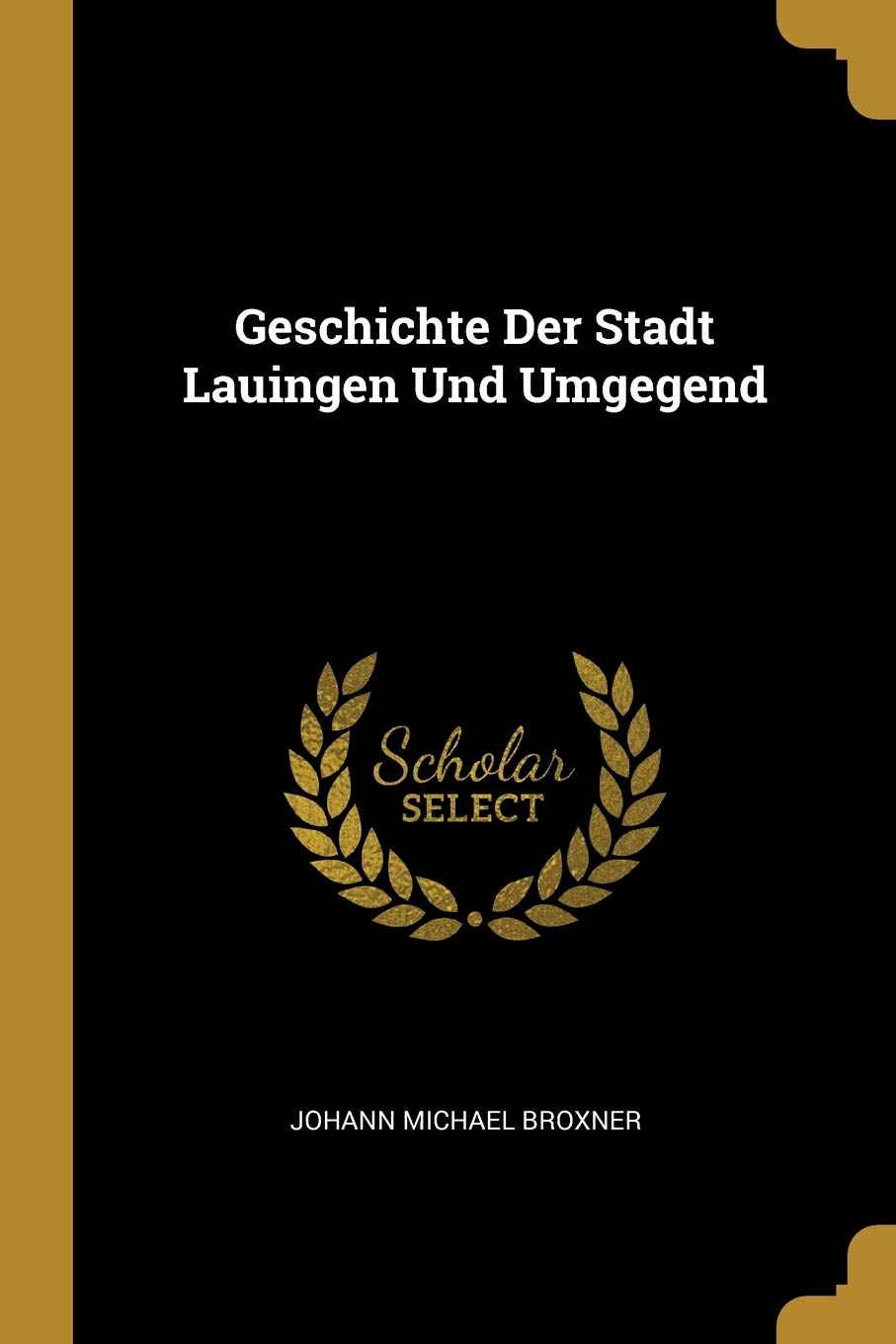 Geschichte Der Stadt Lauingen Und Umgegend Politics & History