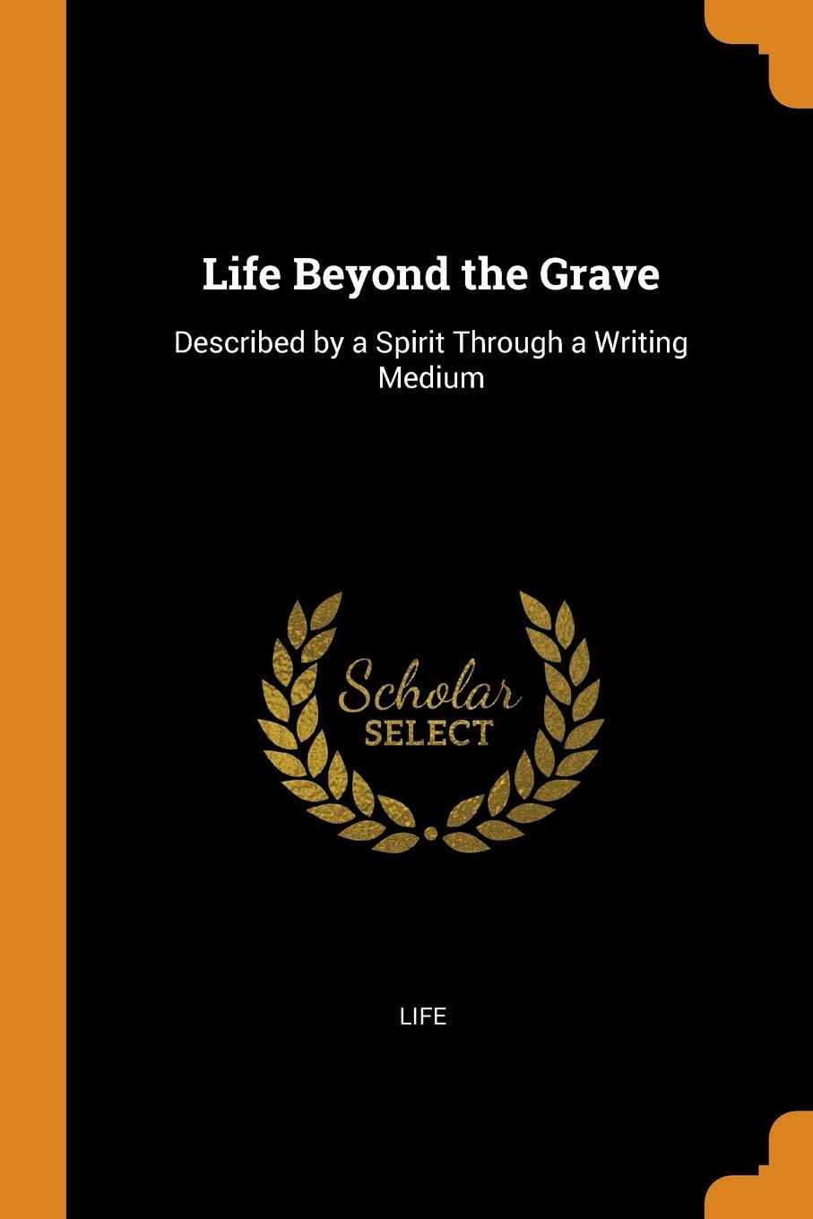 Life Beyond the Grave: Described by a Spirit Through a Writing Medium Fantasy & Sci-Fi