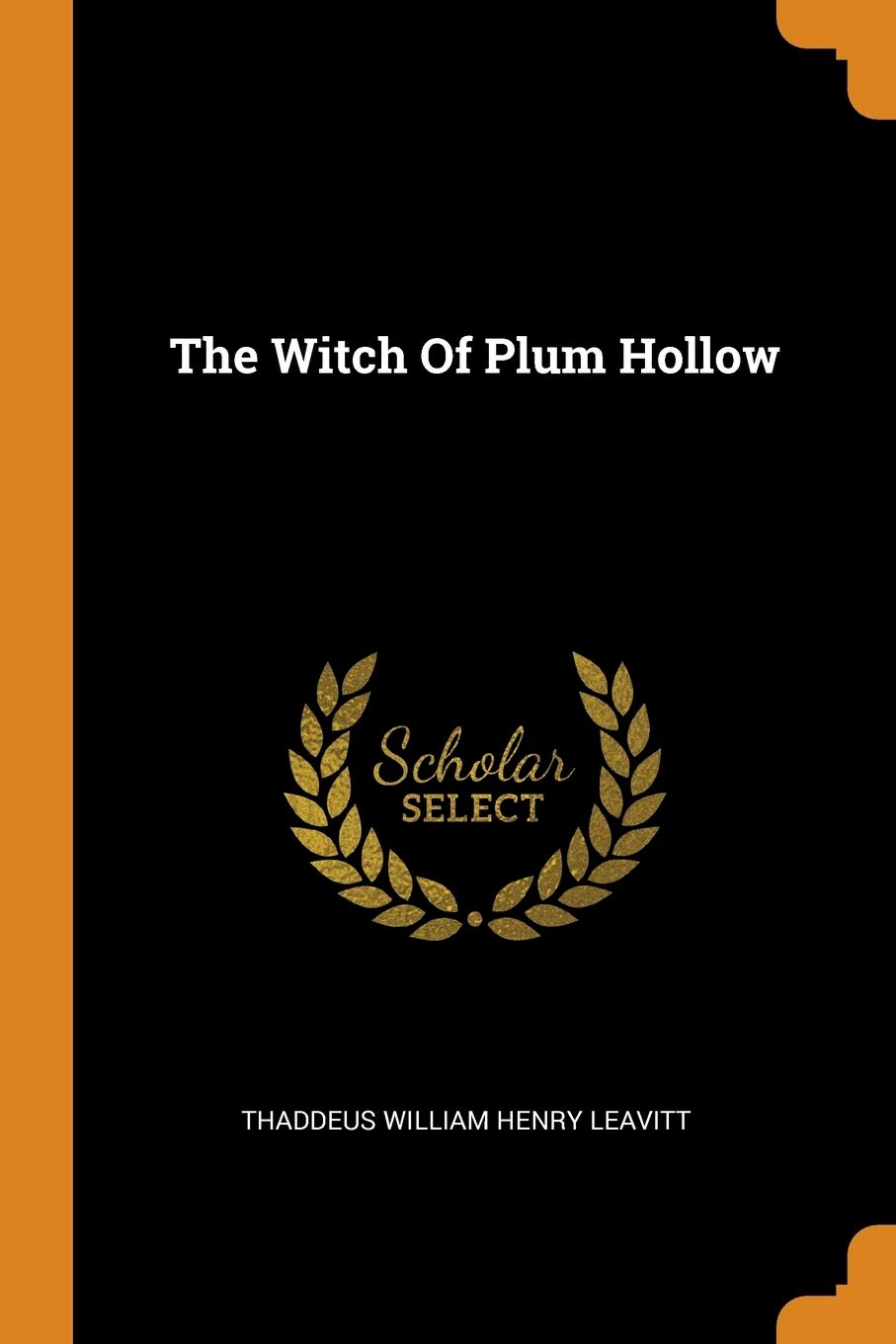 The Witch of Plum Hollow Politics & History