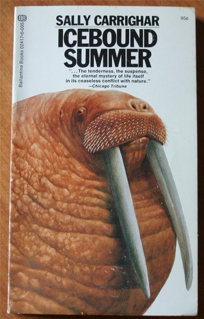 ICEBOUND SUMMER Books