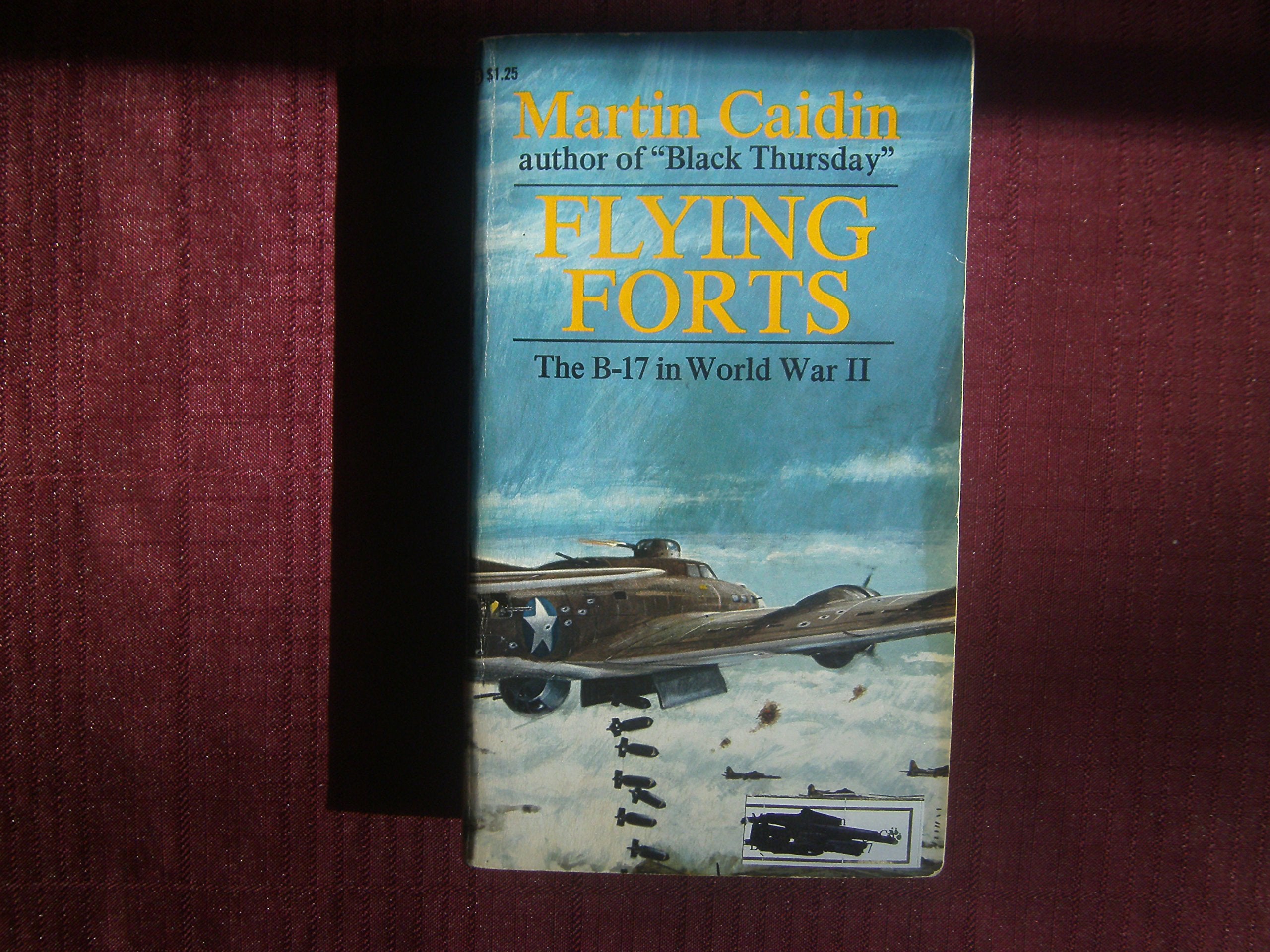 Flying Forts - THe B-17 in World War II Books