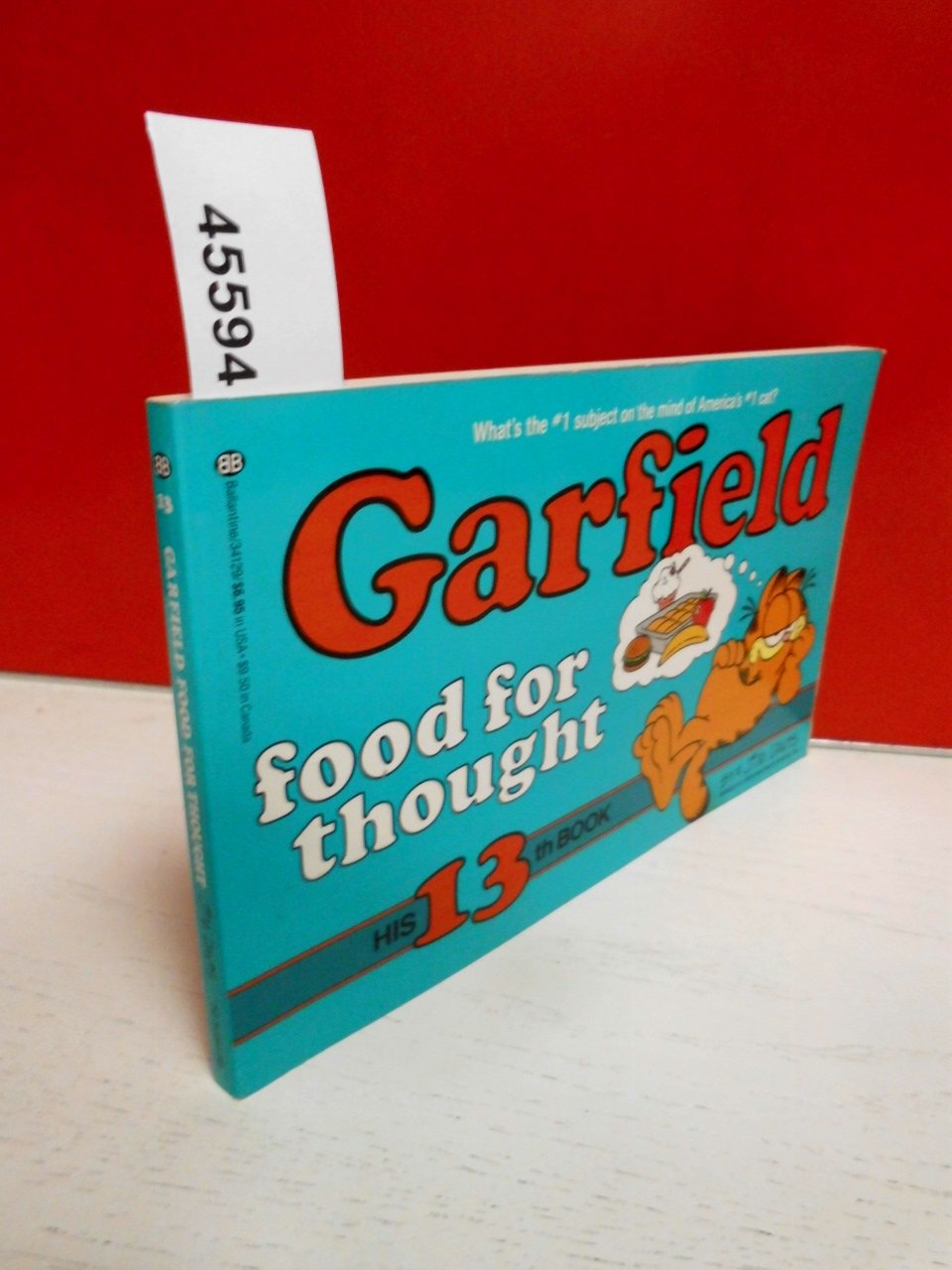 Garfield Food for Thought/His 13th Book Cartoons
