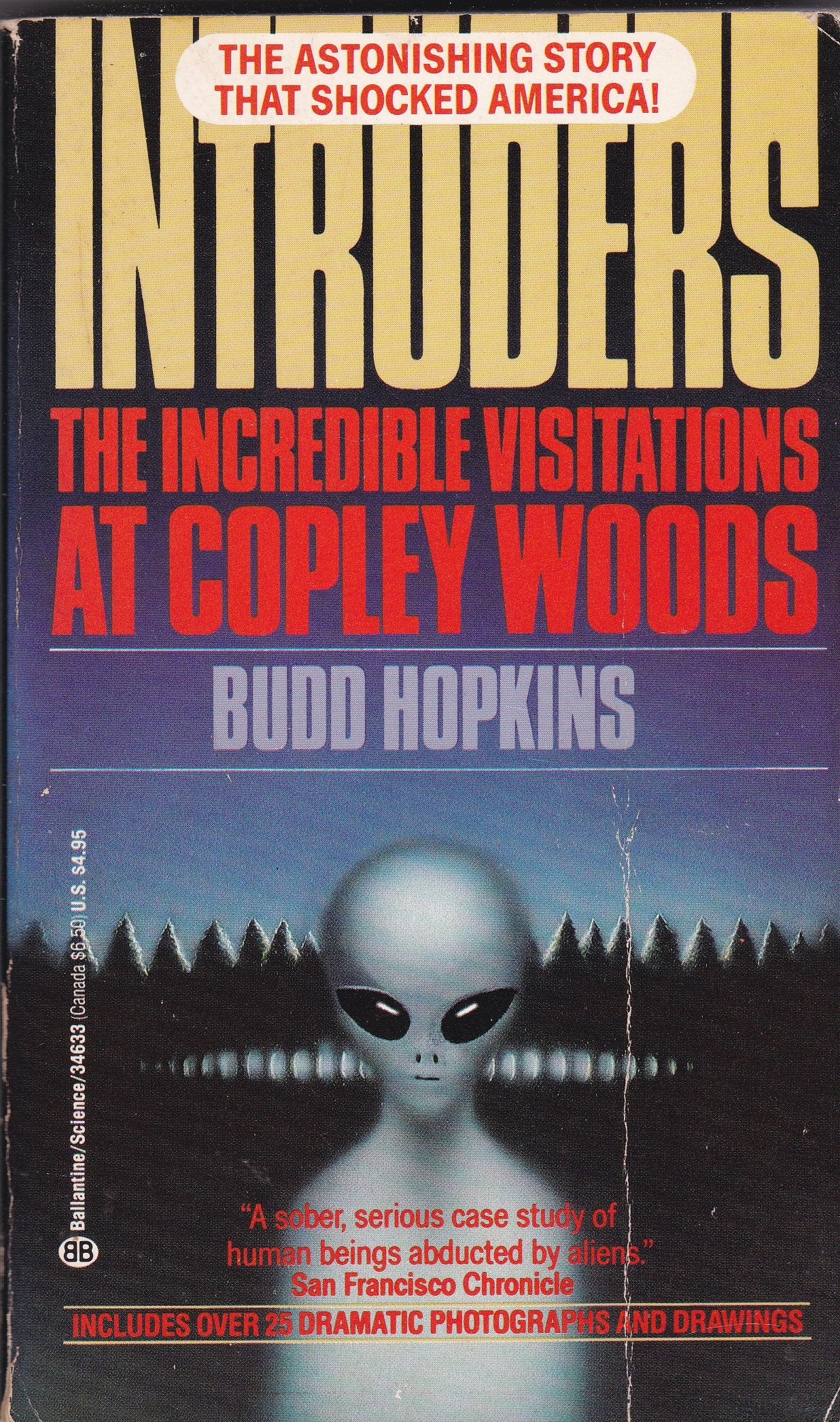 Intruders: The Incredible Visitations at Copley Woods Contemporary literature