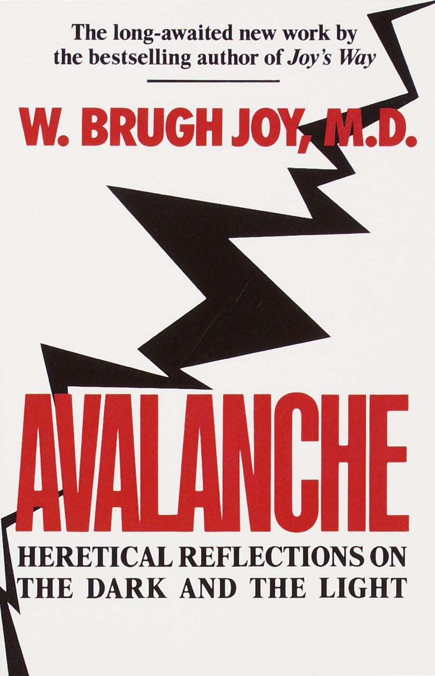 Avalanche: Heretical Reflections on the Dark and the Light Business, Finance & Career