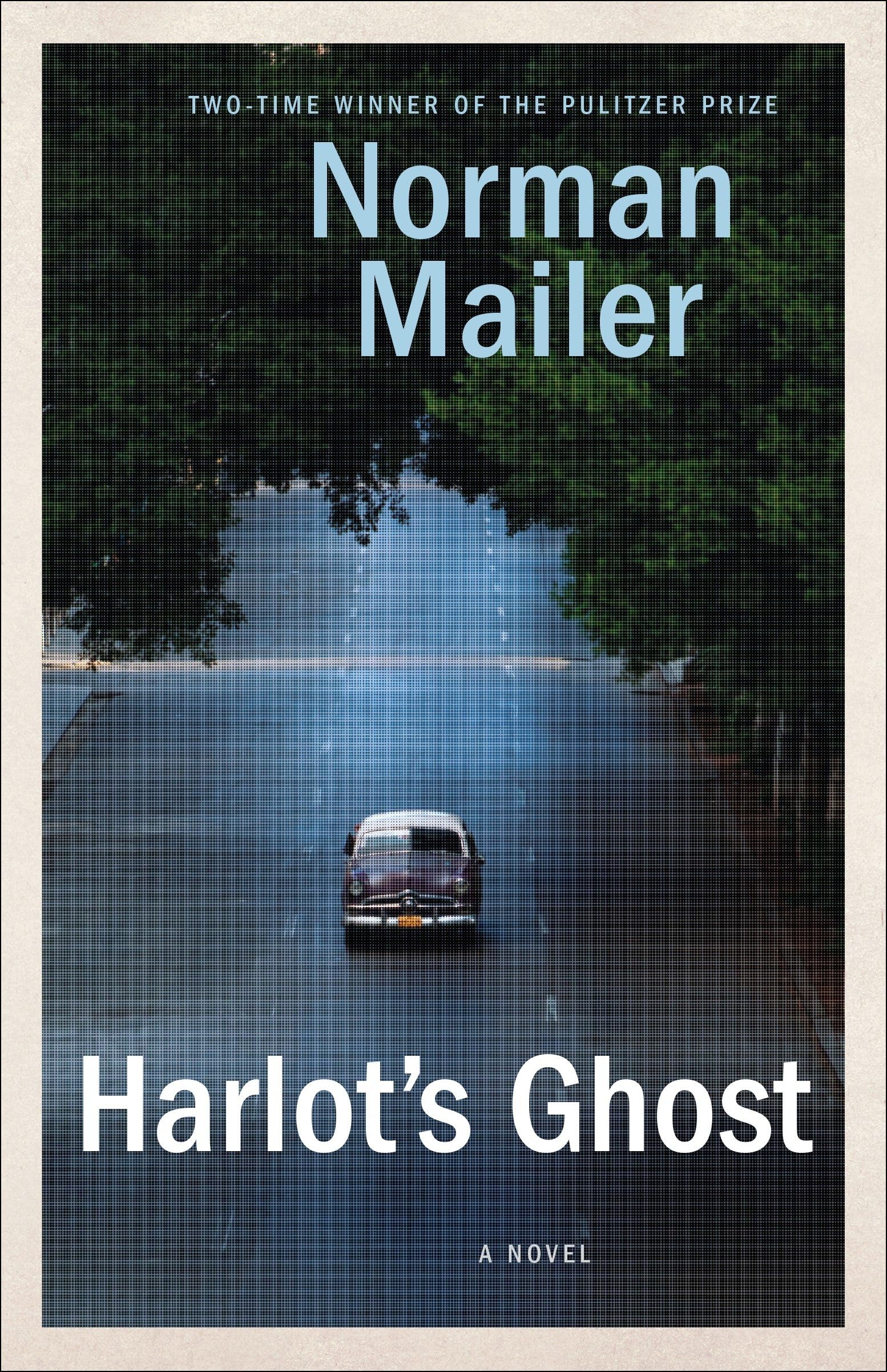 Harlot's Ghost: A Novel Historical Fiction