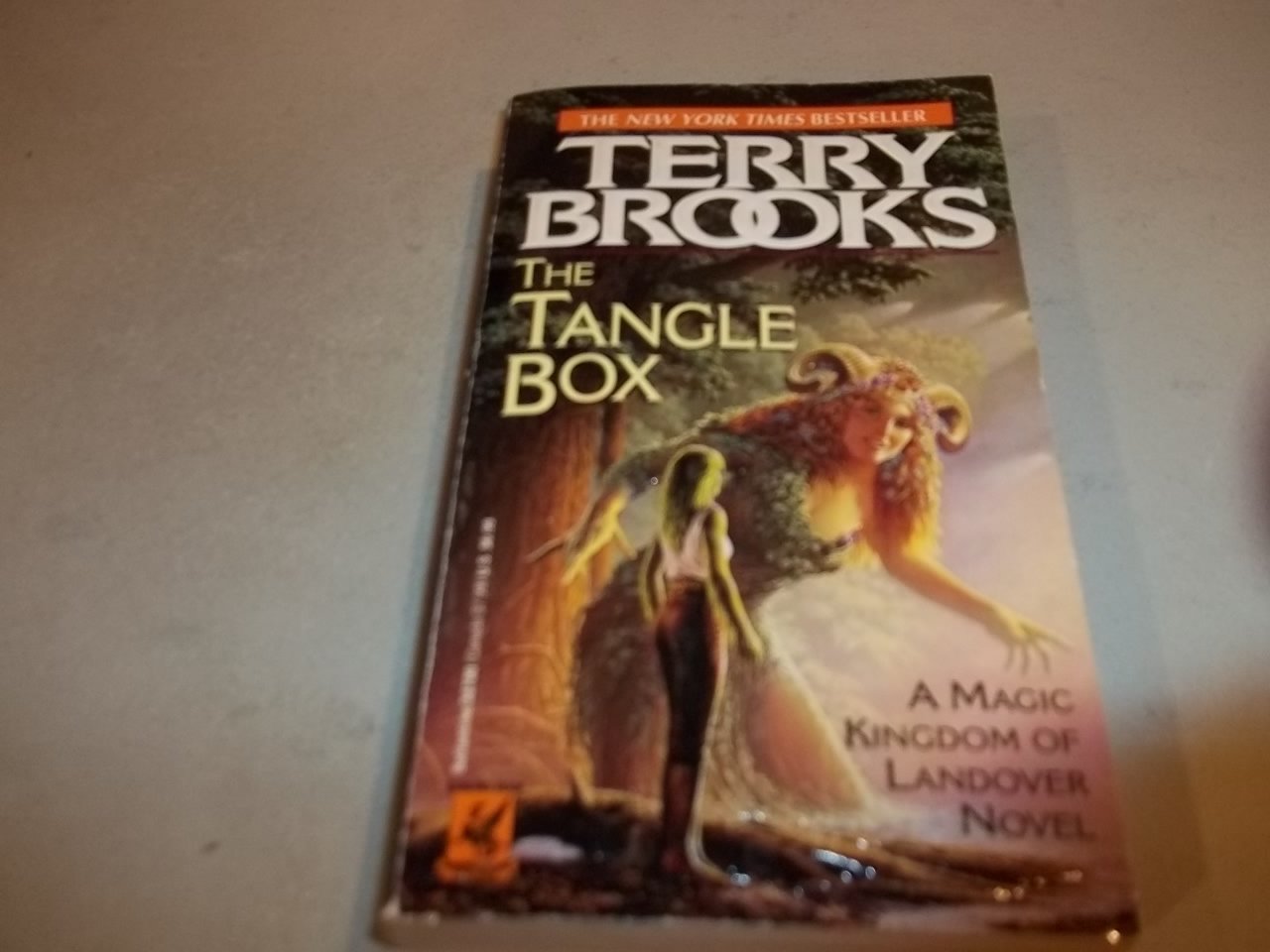 The Tangle Box (The Magic Kingdom of Landover, Band 4) Books
