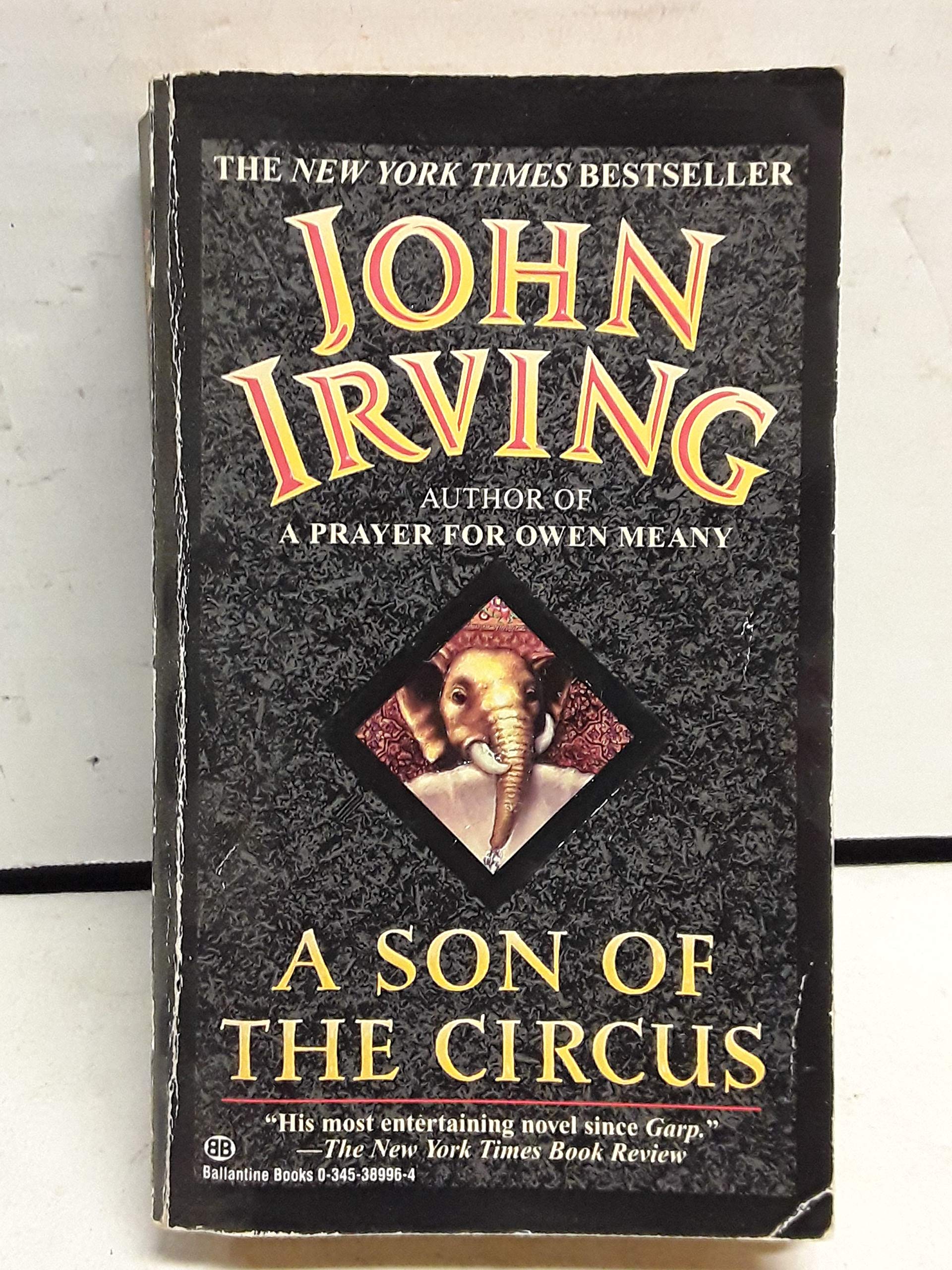 Product Image: A Son of the Circus