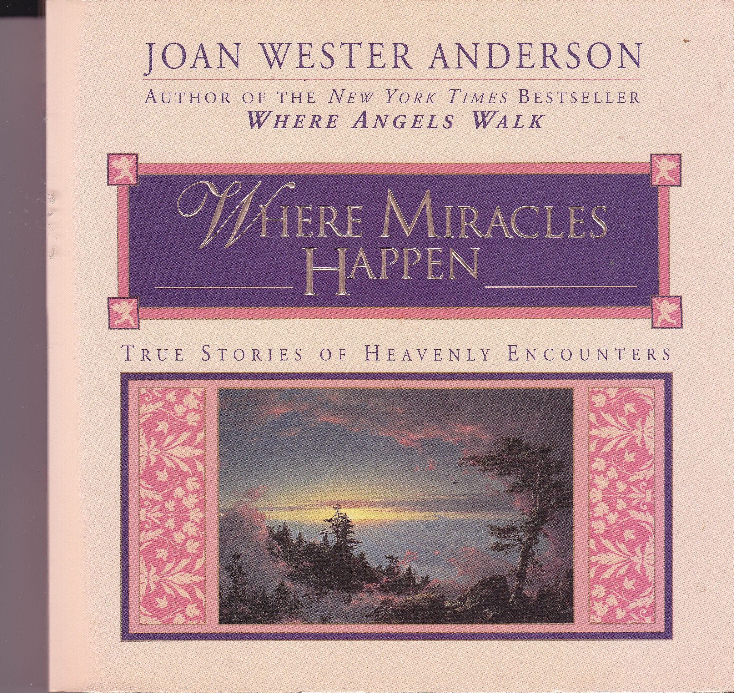 Where Miracles Happen: True Stories of Heavenly Encounters book