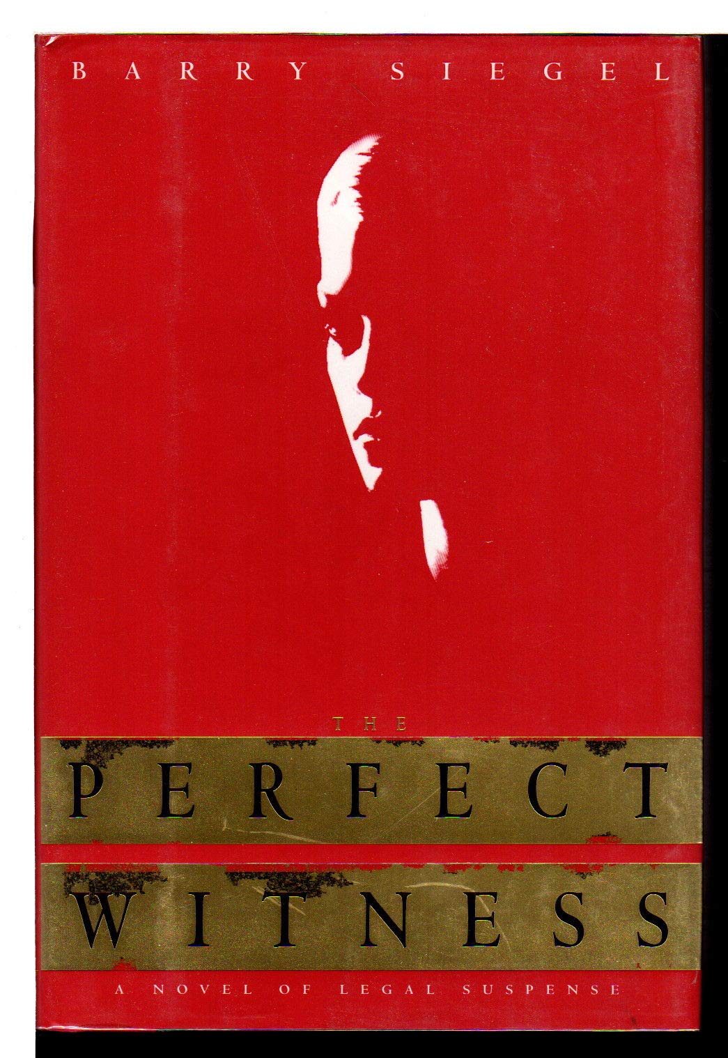 The Perfect Witness book
